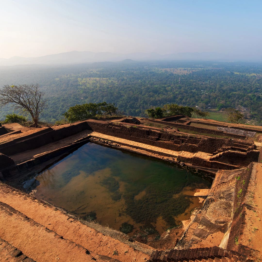 Sri Lanka Untamed: Tea Hills, Temples & Wildlife Coasts